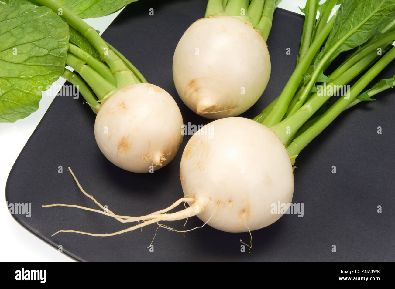 Radis radis blanc frais Radis daikon radis japonais avec des feuilles vertes une feuille plaque noire Banque D'Images