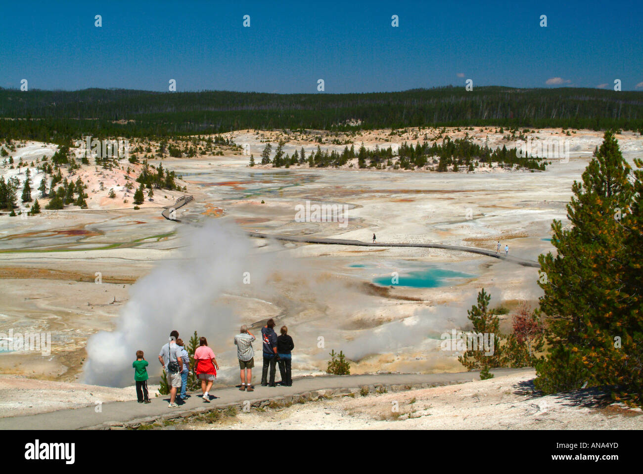 Les touristes profitant de la vue sur le bassin en porcelaine à Norris Geyser Basin de donnent sur le parc national de Yellowstone au Wyoming USA Banque D'Images