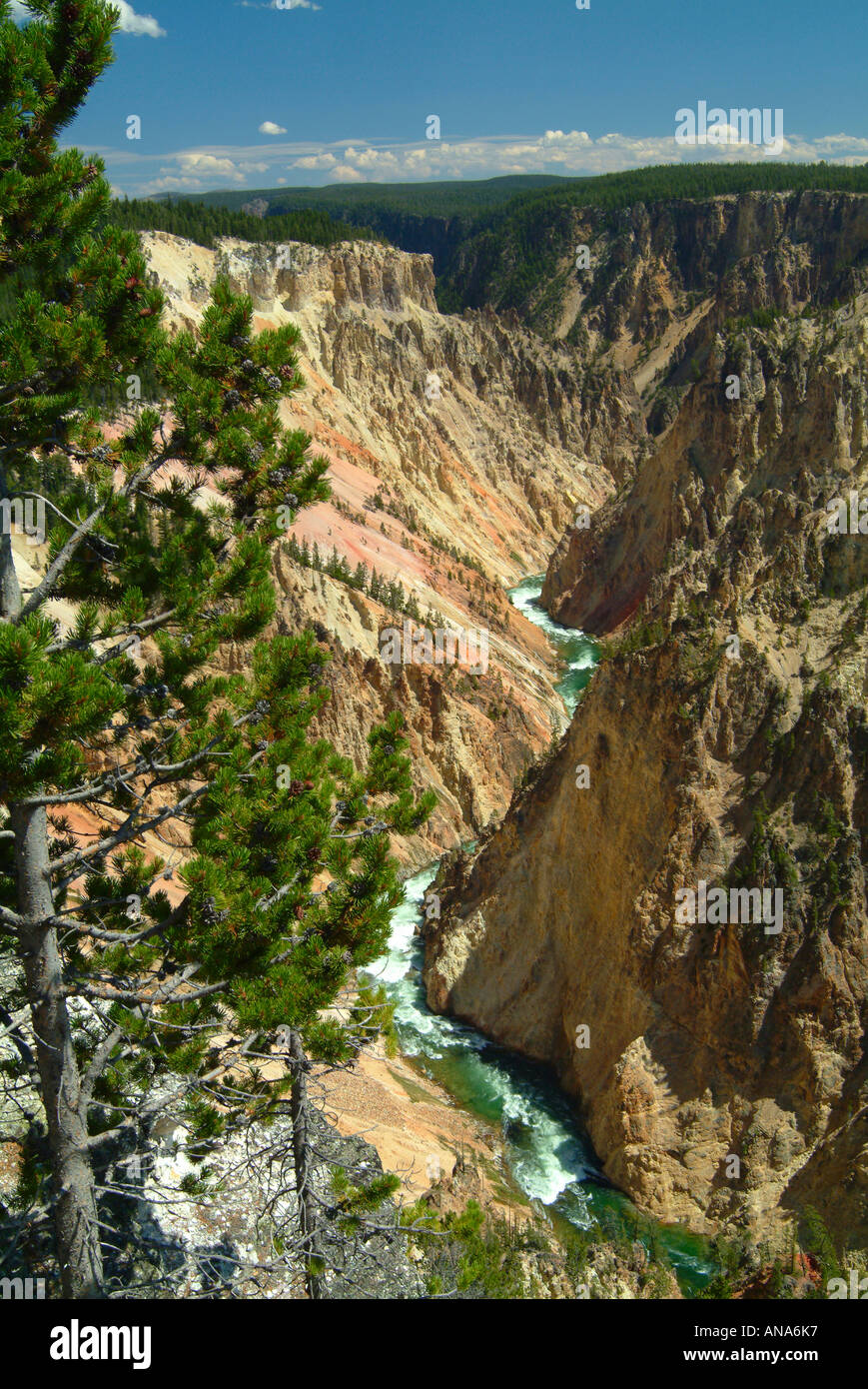 La rivière Yellowstone circulant dans Grand Canyon de la Yellowstone vu de l'Inspiration Point Banque D'Images