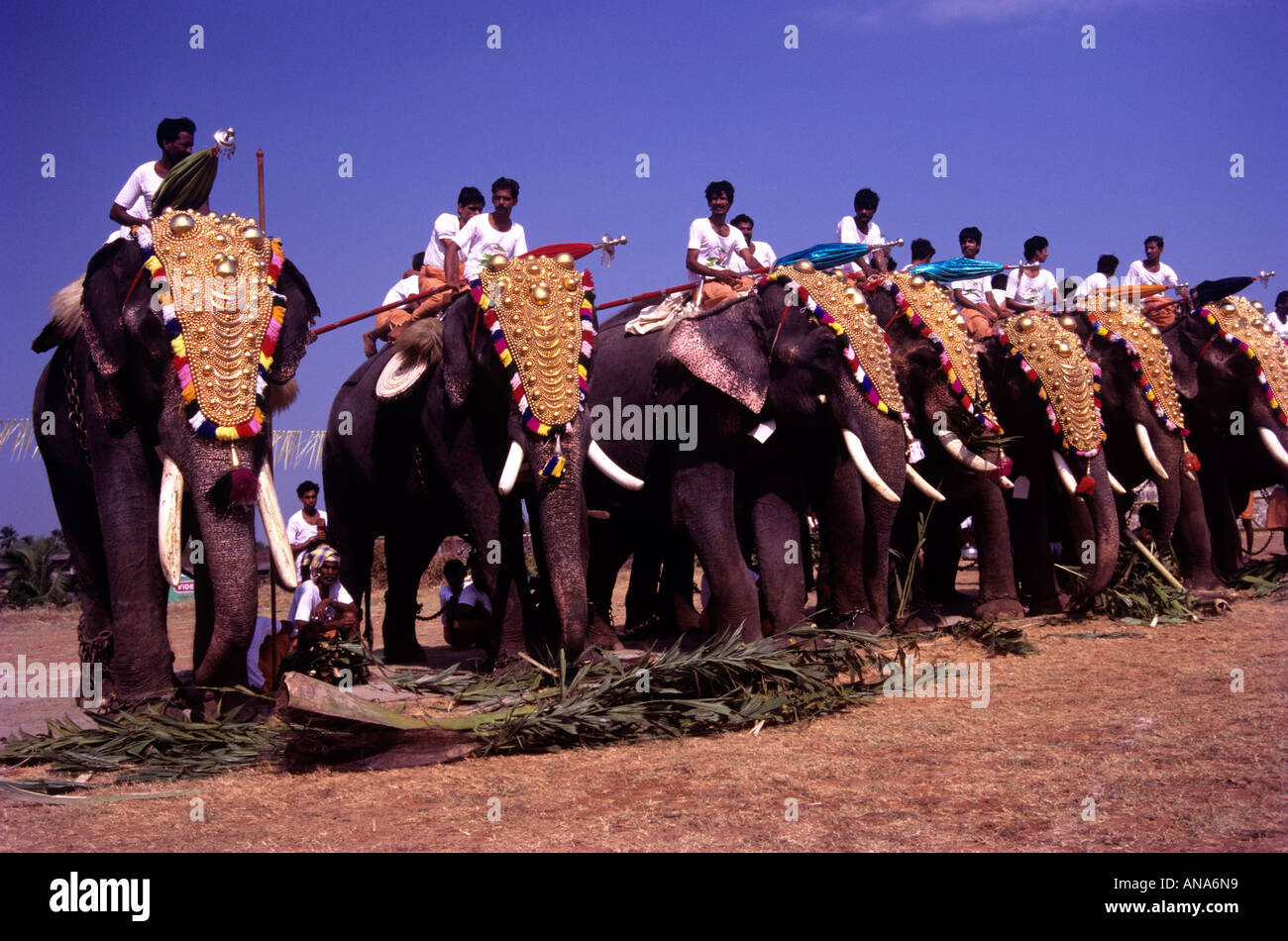 ARATTUPUZHA THRISSUR POORAM KERALA Banque D'Images