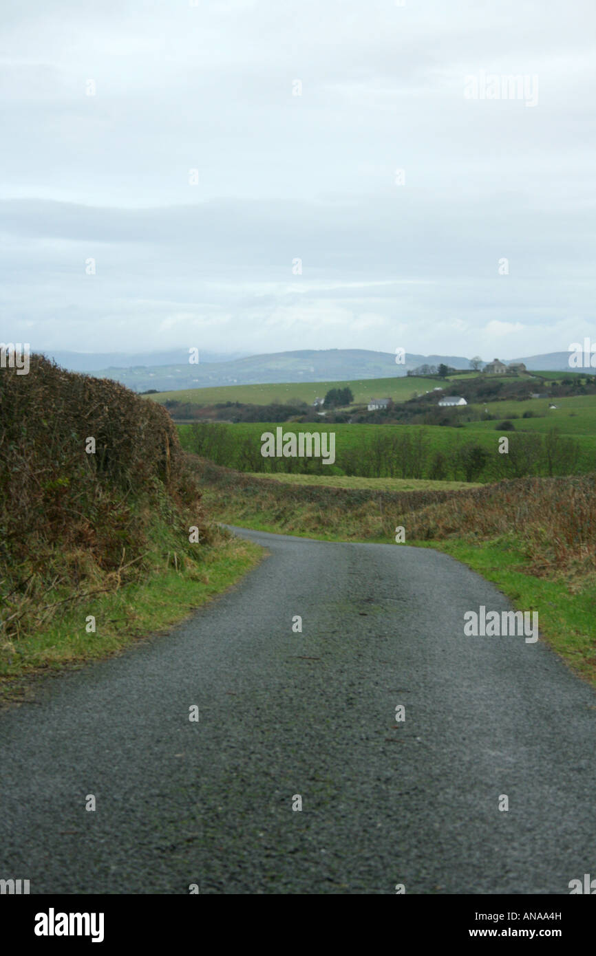 Une promenade dans le pays avec des haies, pouce à l'extérieur de l'Île, Donegal, Derry, Irlande Banque D'Images