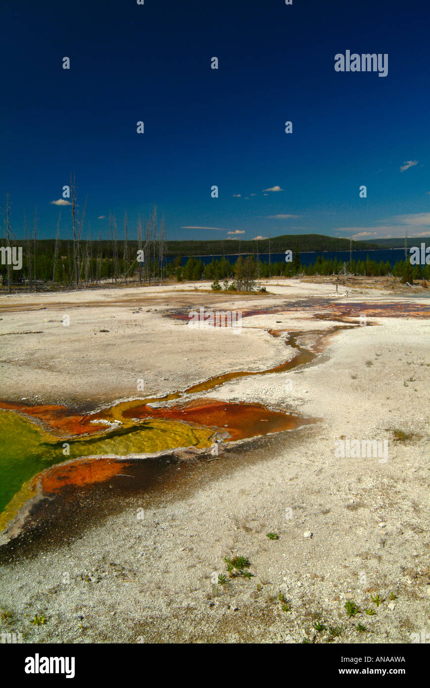 Des couleurs vives en run-off Salon d'abîme extérieure Printemps West Thumb Geyser Basin dans le Parc National de Yellowstone au Wyoming USA Banque D'Images