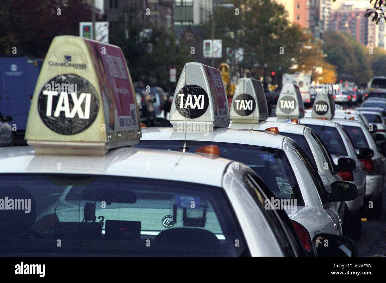 Des taxis s'alignent sur Boylston Street à Boston Massachusetts Banque D'Images