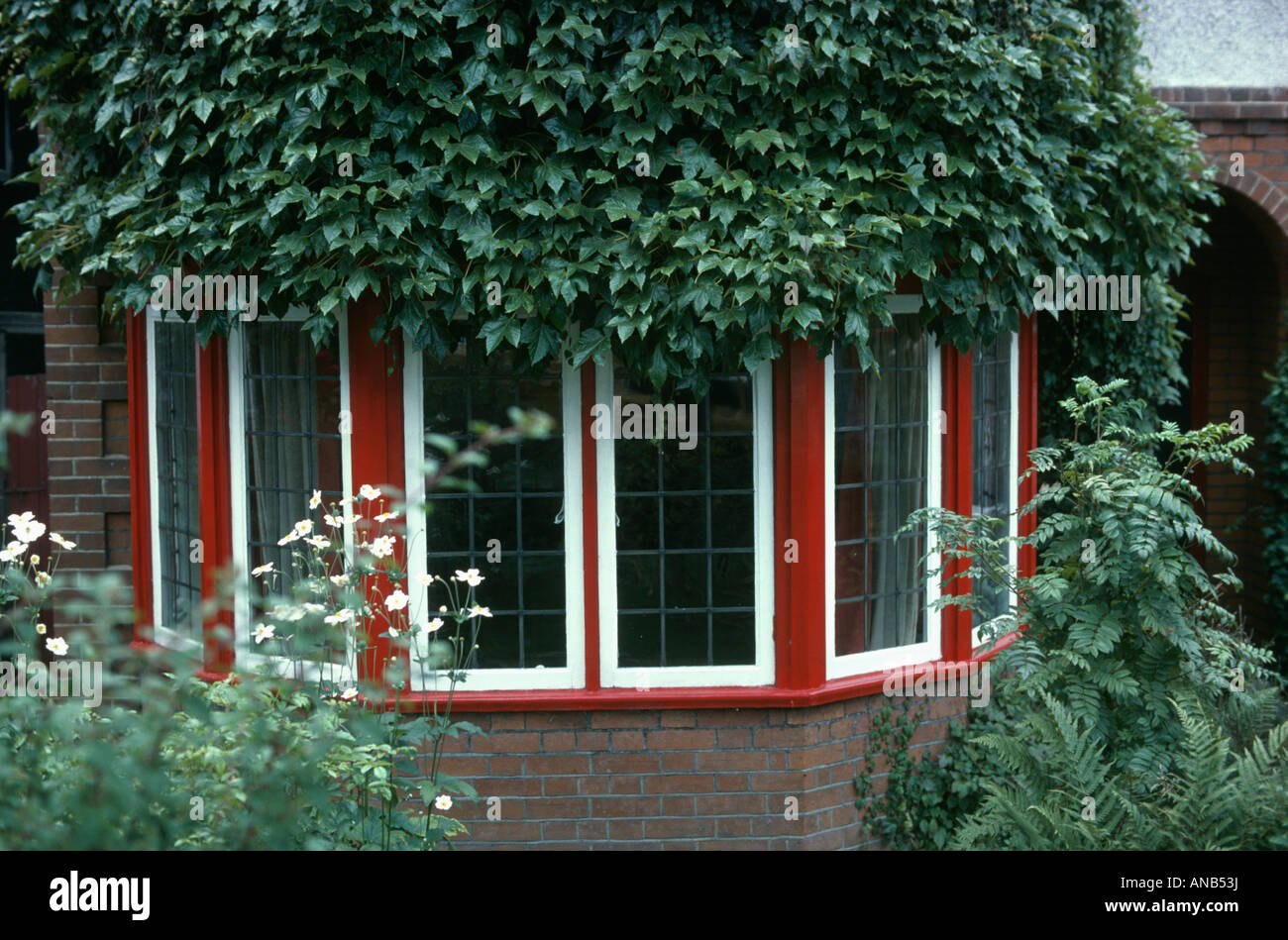 Chambre avec green Photo:rouge et blanc au-dessus de fenêtre en baie Banque D'Images