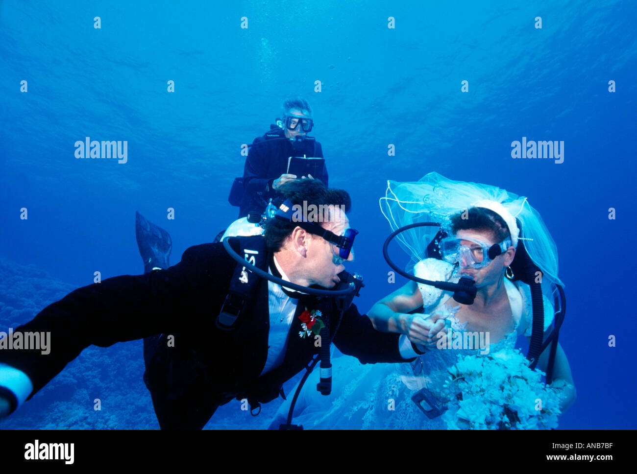 Egypte Mer Rouge mariage subaquatique Banque D'Images