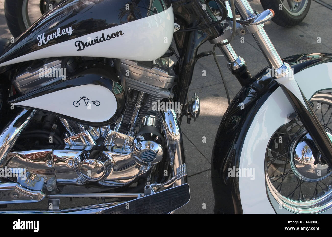 Black and white harley davidson Banque de photographies et d’images à ...