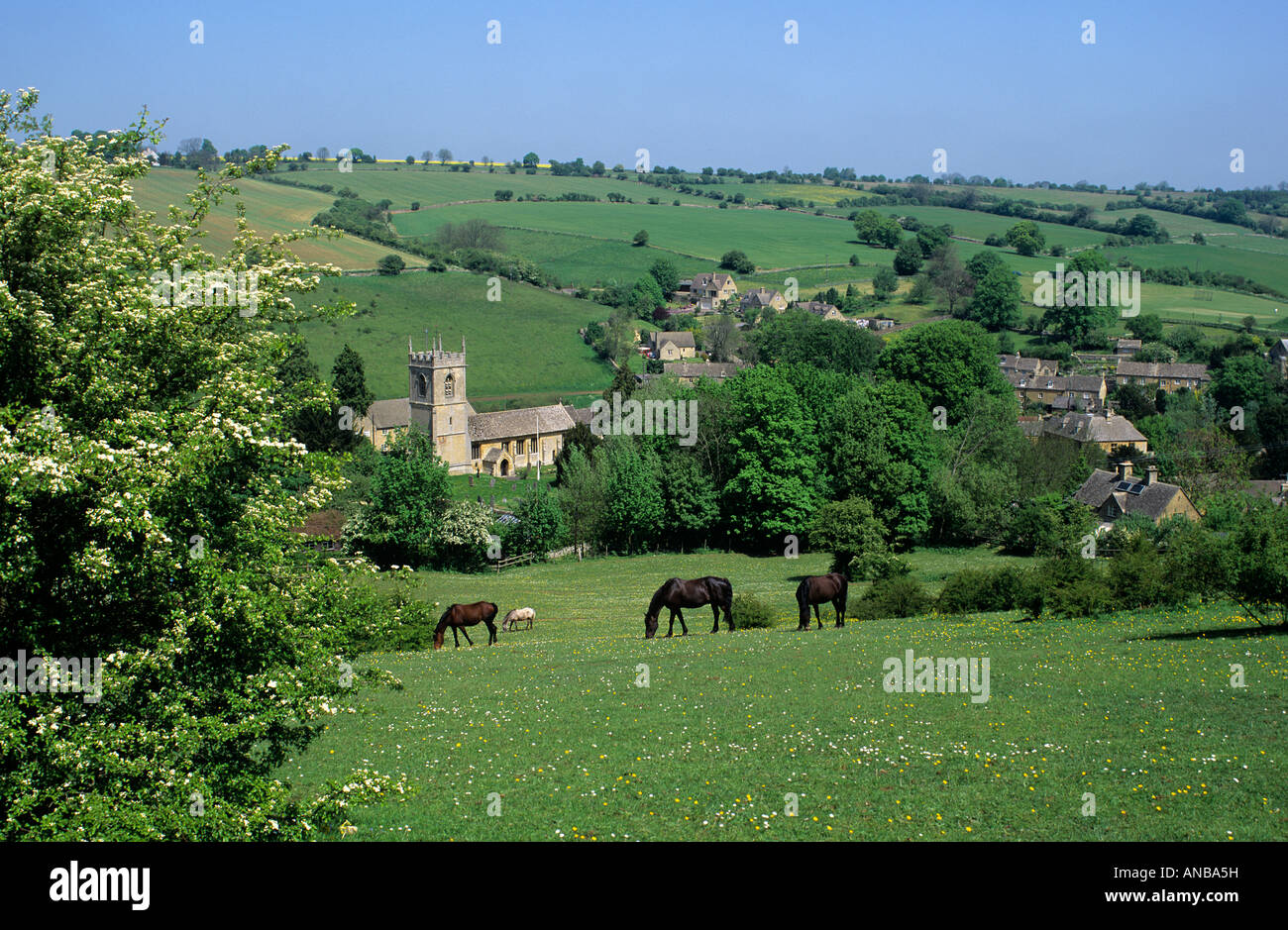 Campagne d'été village scène dans les Cotswolds en Angleterre. Banque D'Images