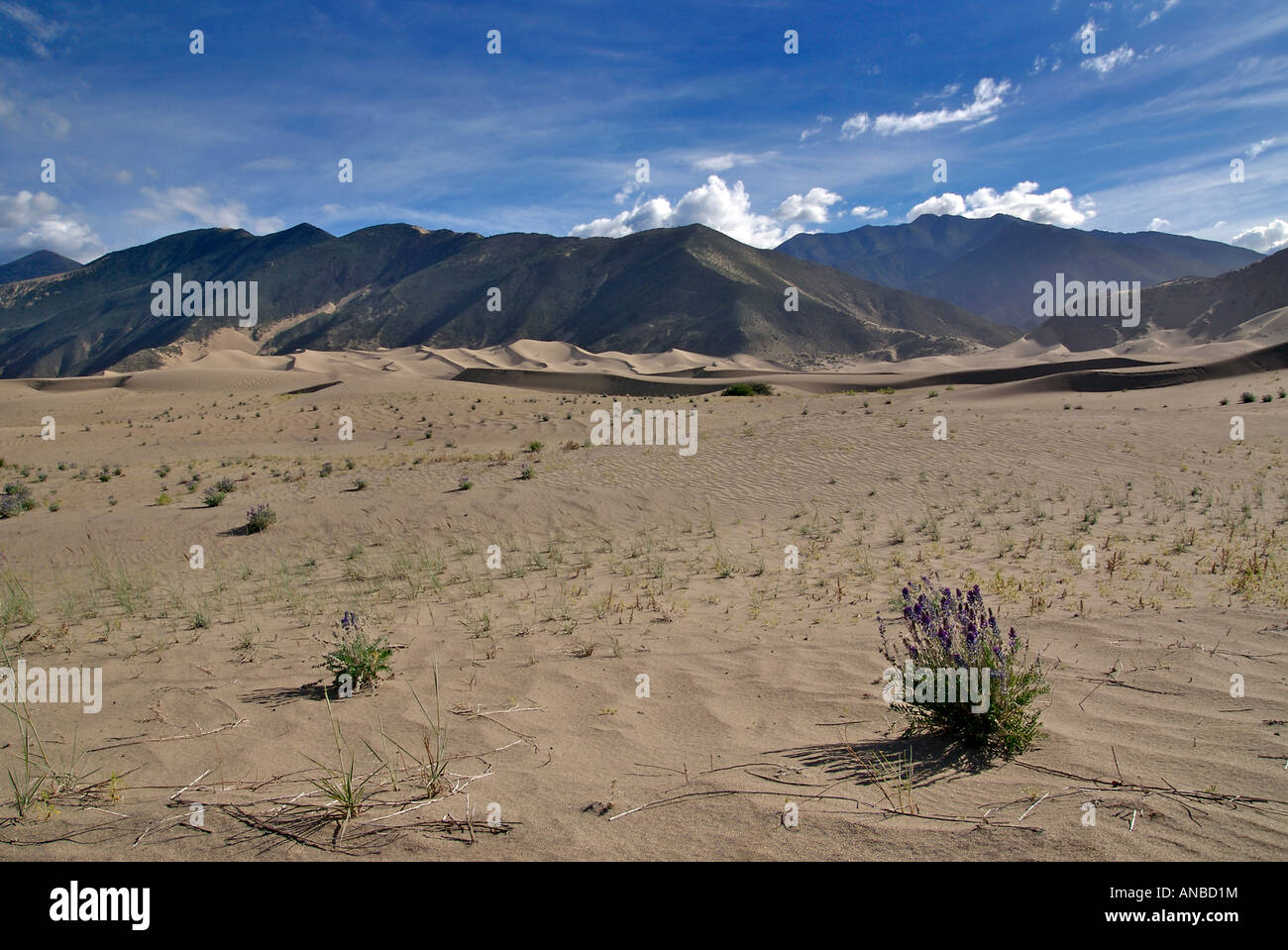 Paysage aride entre Tsetang et Samye Tibet Banque D'Images