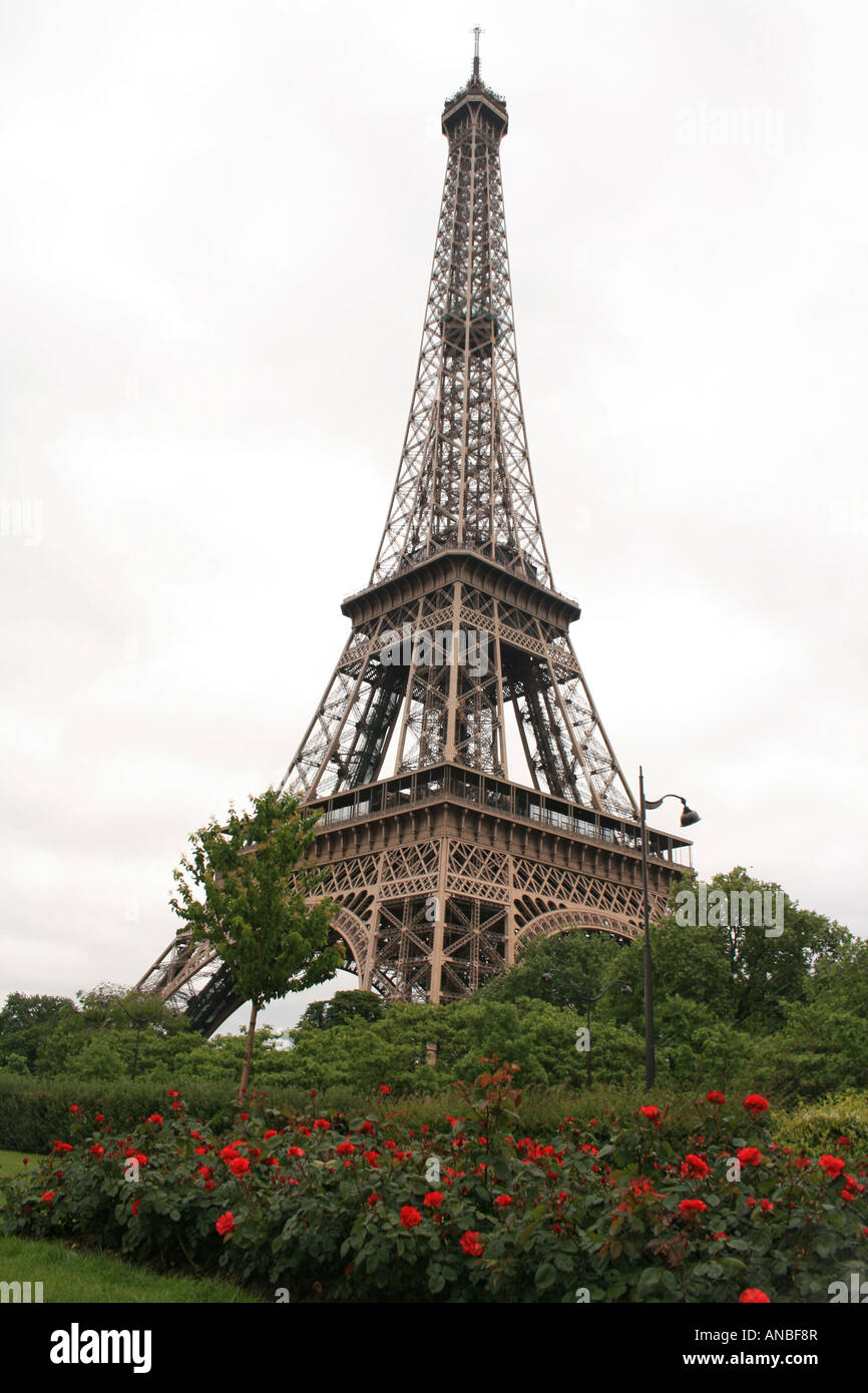 Jardins de Roses, Tour Eiffel, Paris, France Banque D'Images