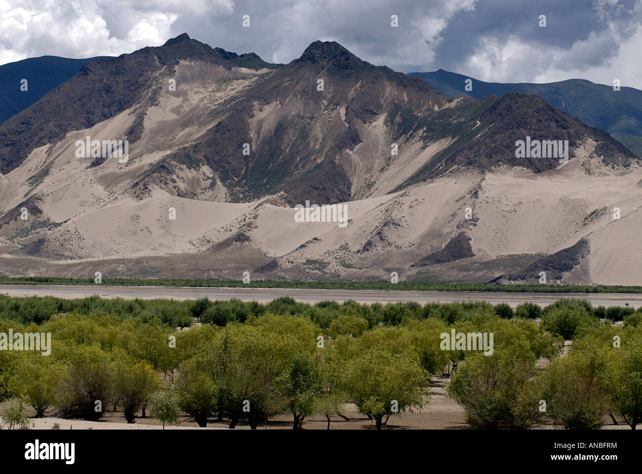 Paysage aride entre Tsetang et Samye Tibet plaine irriguée dans l'avant-plan Banque D'Images