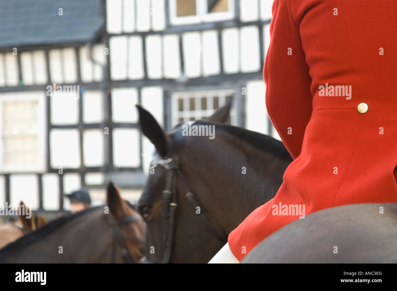 Vue arrière du Huntsman sur Dark Horse portant veste rouge traditionnel rassemblement pour commencer de chasse traditionnel Boxing Day Banque D'Images