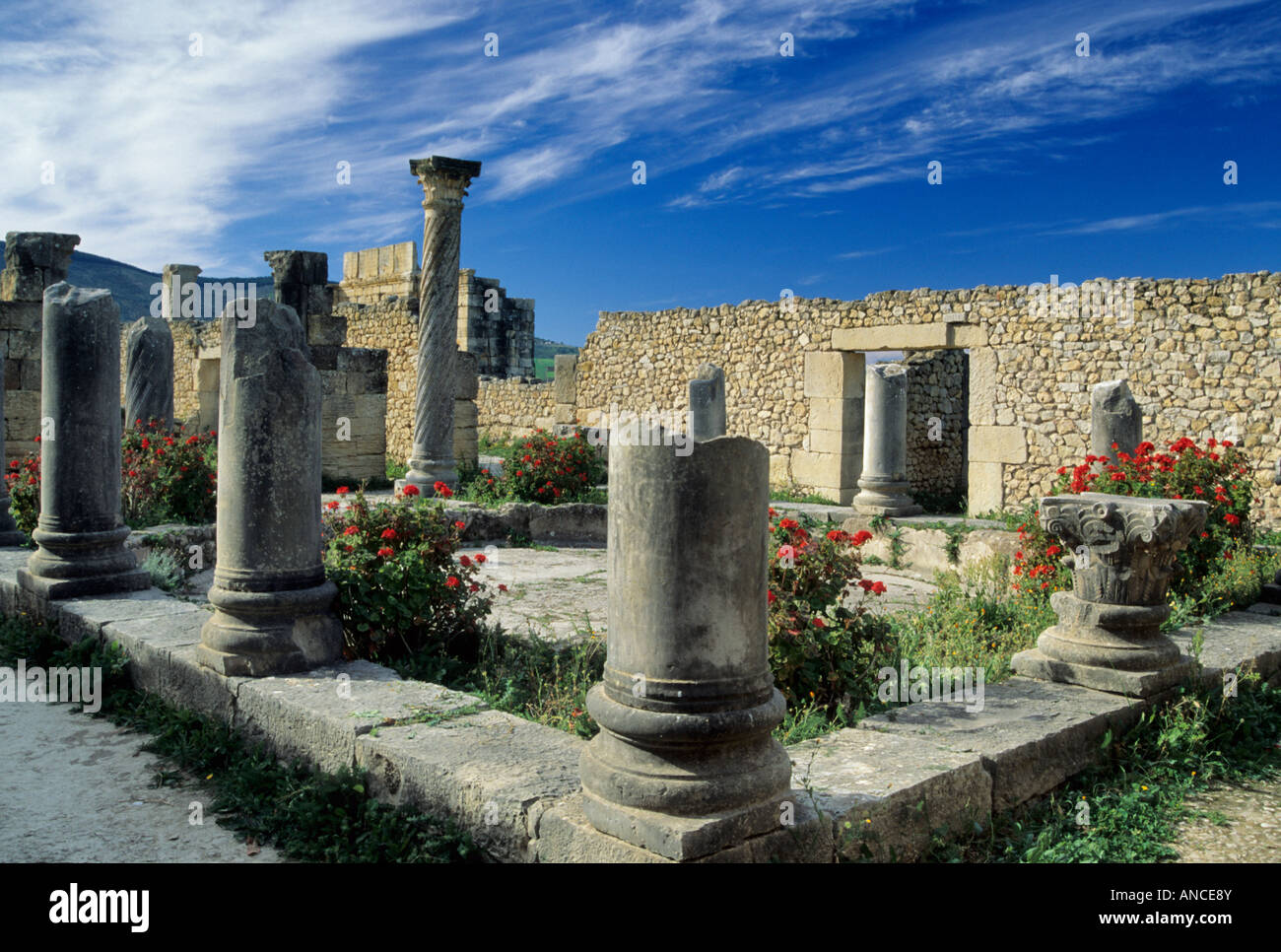 Chambre de colonnes romaines ruines de Volubilis Maroc Banque D'Images