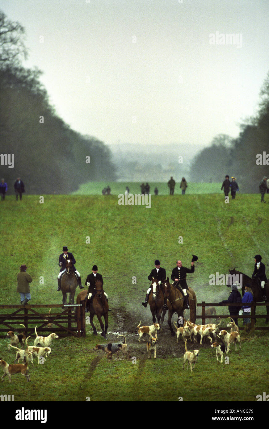 La CHASSE AU BEAUFORT UN LENDEMAIN DE RÉUNION À WORCESTER LODGE, PRÈS DE LEURS CHENILS BADMINTON PICARDIE UK Banque D'Images