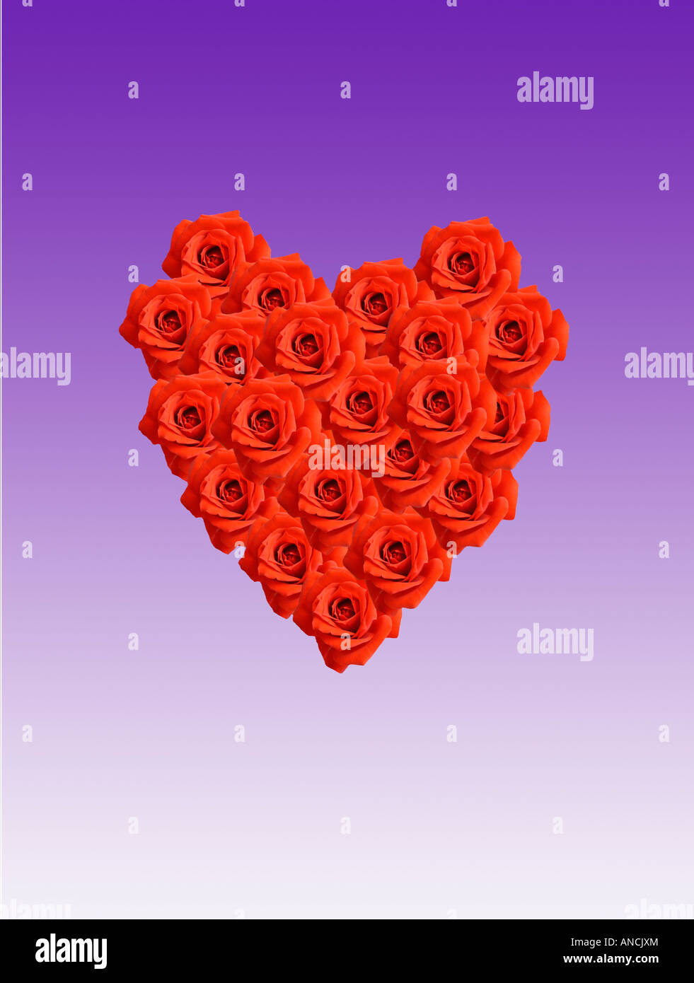 Coeur rouge composé de roses sur fond mélangé Banque D'Images