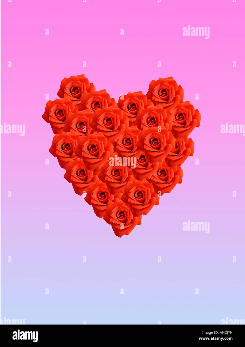 Coeur rouge composé de roses sur fond mélangé Banque D'Images