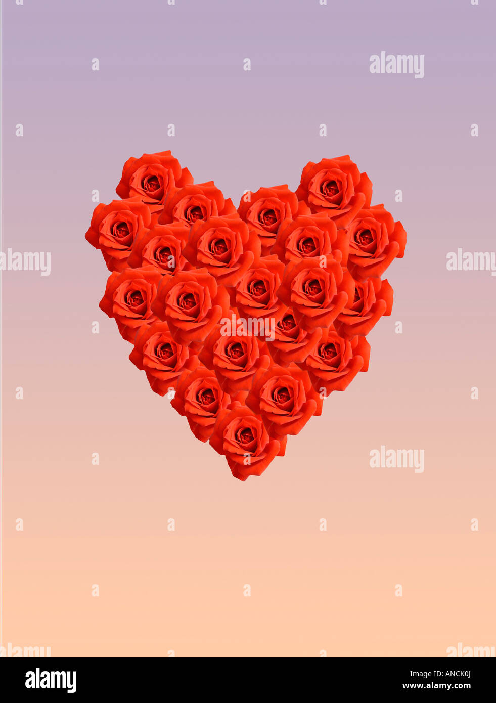 Coeur rouge composé de roses sur fond mélangé Banque D'Images