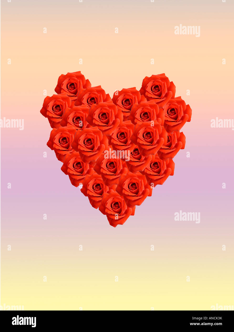 Coeur rouge composé de roses sur fond mélangé Banque D'Images