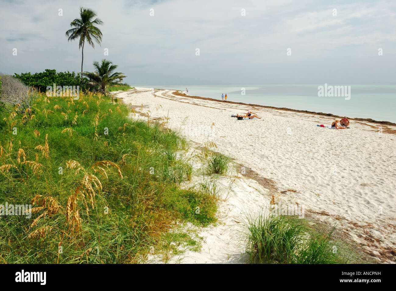 La plage de sable blanc dans la Bahia Honda State Park sont considérés comme les plus beaux de tous les Keys de la Floride Floride USA Banque D'Images