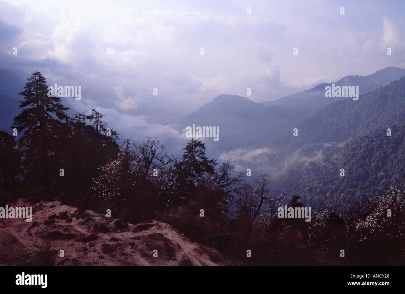 Vue depuis le sentier à Dzongri, Sikkim, Inde Banque D'Images