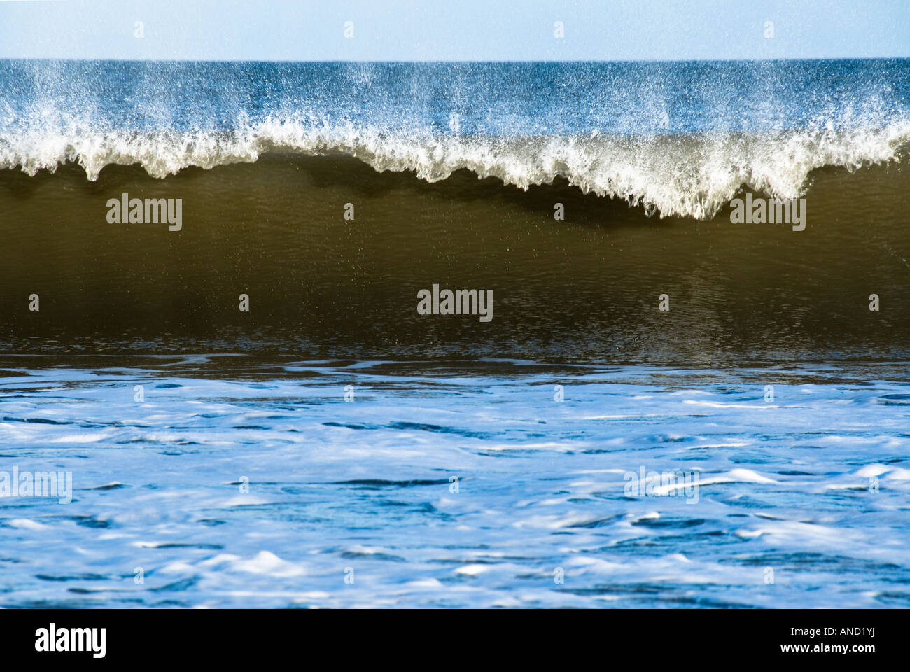 Vague déferlante Banque D'Images