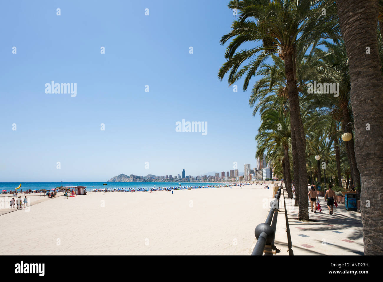 Playa de Poniente de Parque de Elche, Benidorm, Costa Blanca, Espagne Banque D'Images