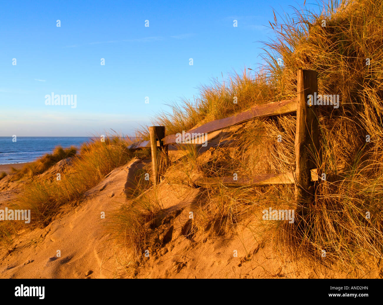 Les dunes et la Manche à Camber Sands East Sussex Banque D'Images
