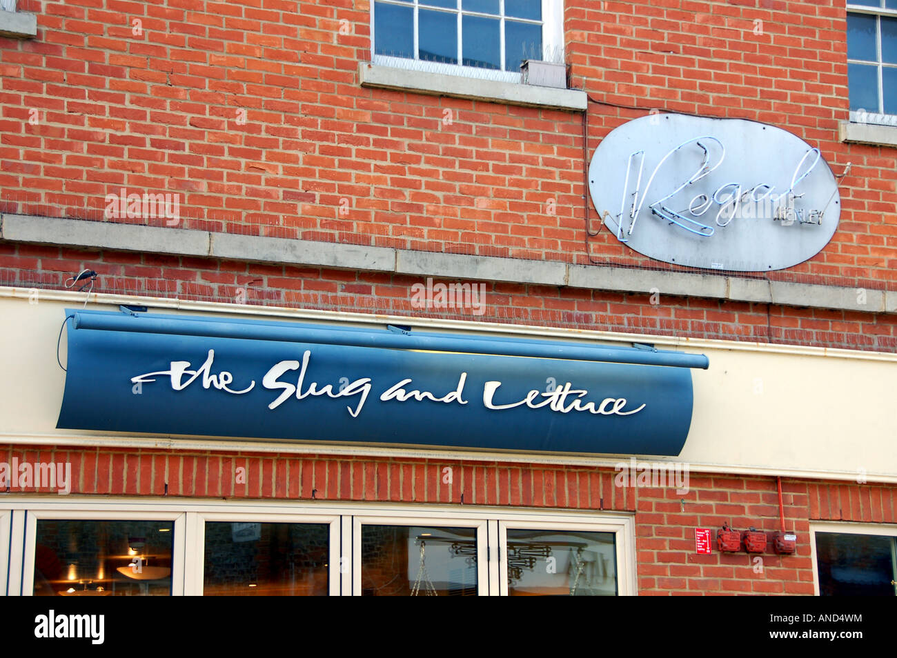 Branche de la sauteuse et laitue bar chaîne au Henley-on-Thames, Royaume-Uni Banque D'Images