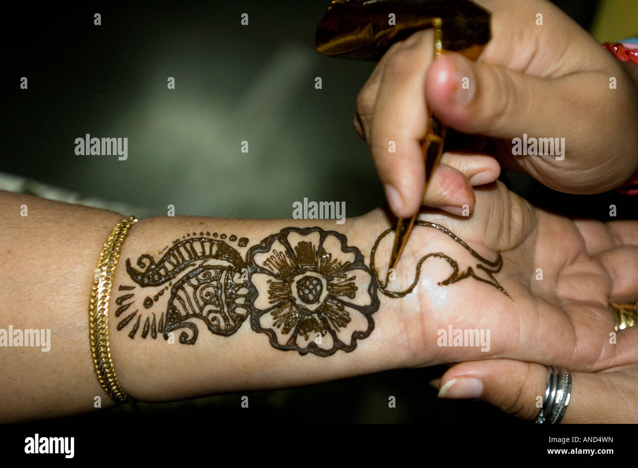 Tatouage au henné / Mehendi appliquée à un bras et de la main de femme Banque D'Images