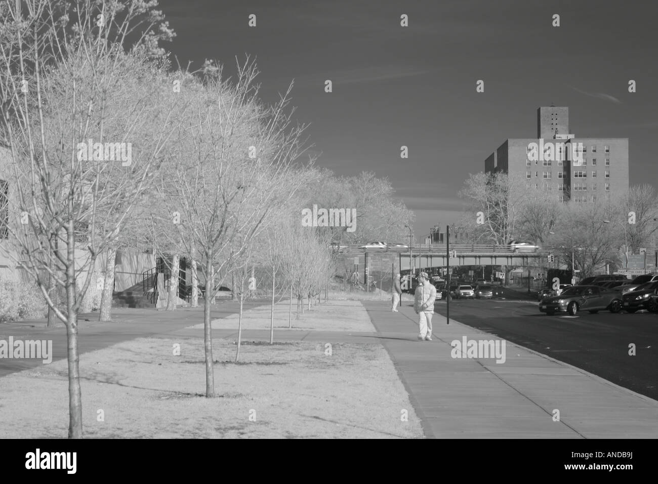 Deux hommes dans le parc. Vue surréaliste capturés dans Brooklyn, 2007 Banque D'Images