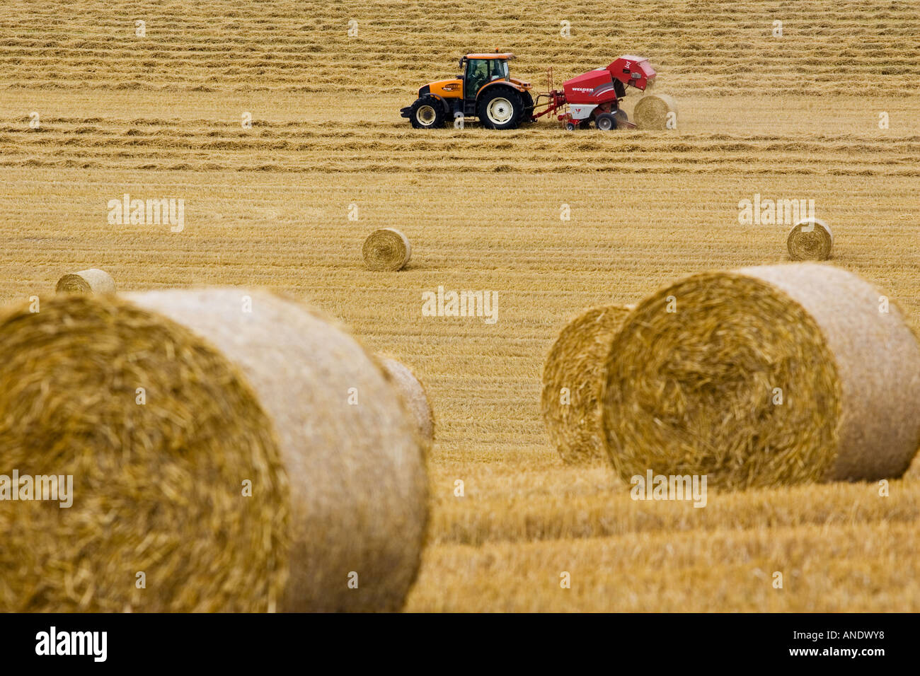 Le tracteur tire une ramasseuse-presse pour créer des bottes de paille Cotswolds, Royaume-Uni Banque D'Images