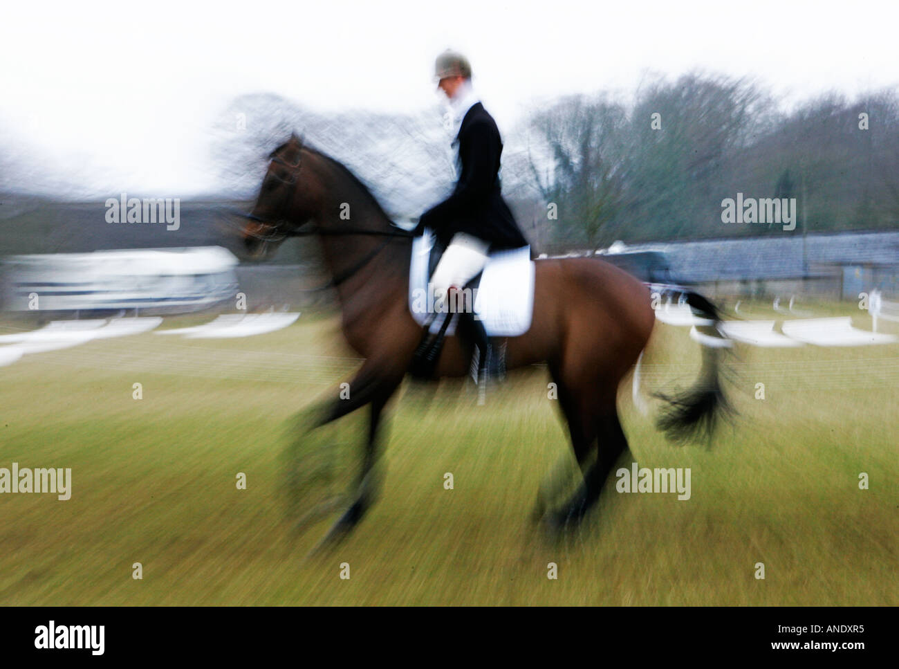 Le cheval et le cavalier à Blenheim Horse Trials United Kingdom Banque D'Images