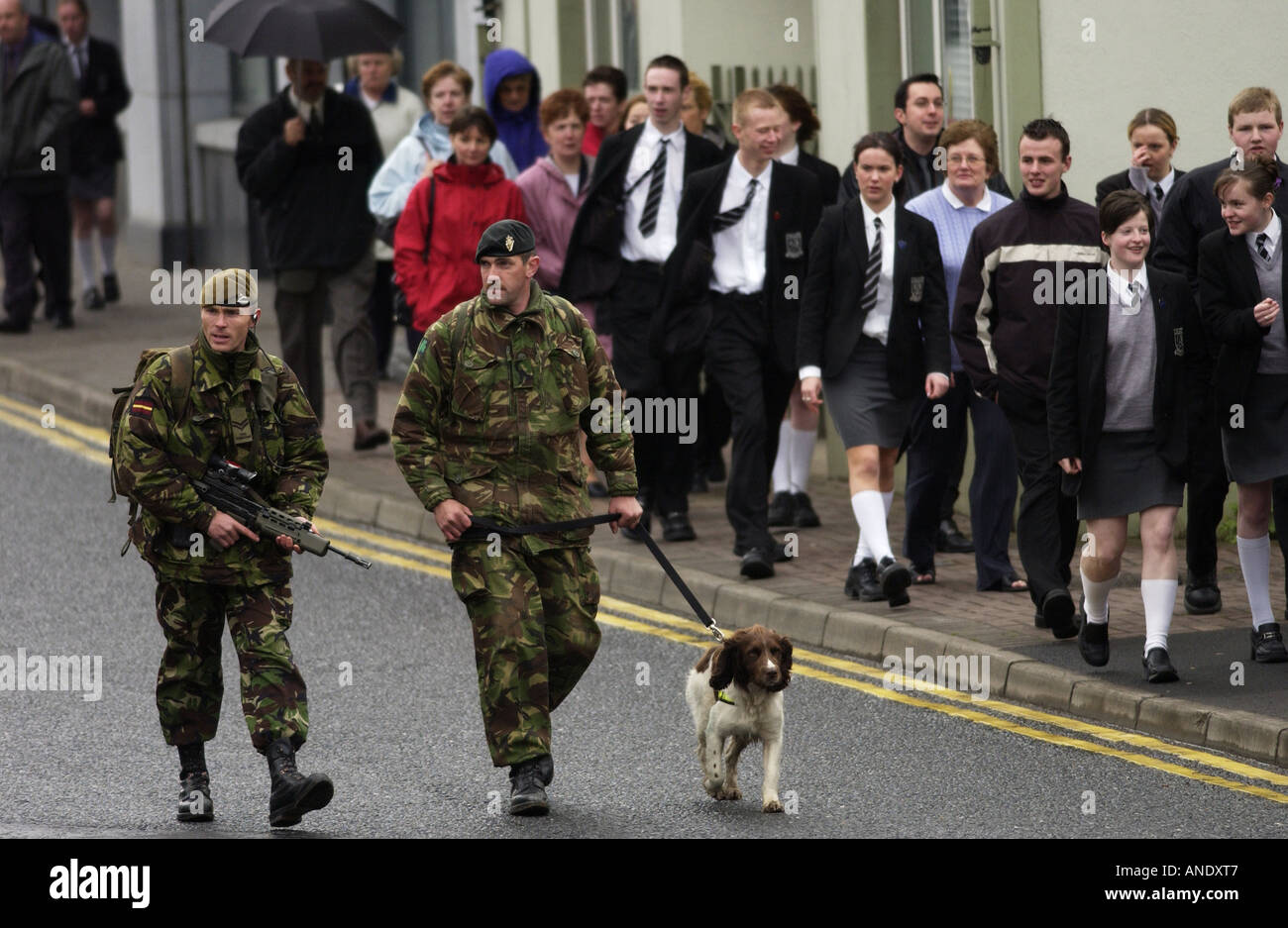 Les troupes britanniques avec Springer Spaniel chien renifleur d'explosifs en patrouille à Omagh en Irlande du Nord Banque D'Images