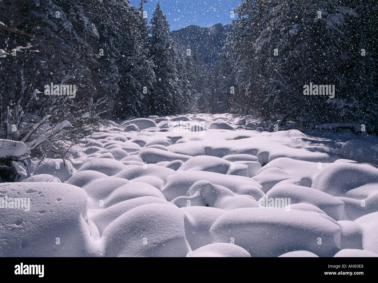 La neige fraîche recouvrent les rochers sur les Big Thompson River Rocky Mountain National Park Banque D'Images