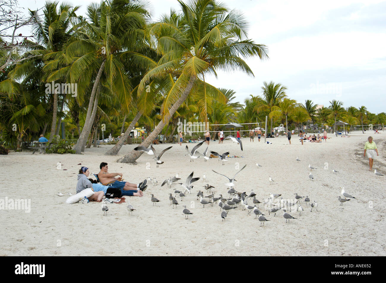 Key West Florida FL Banque D'Images