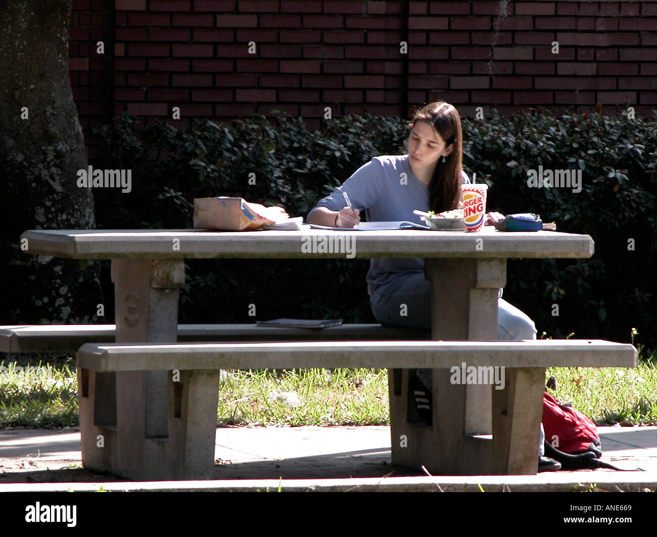 Université de Floride, Gainesville FL d'activités sur les Campus Banque D'Images