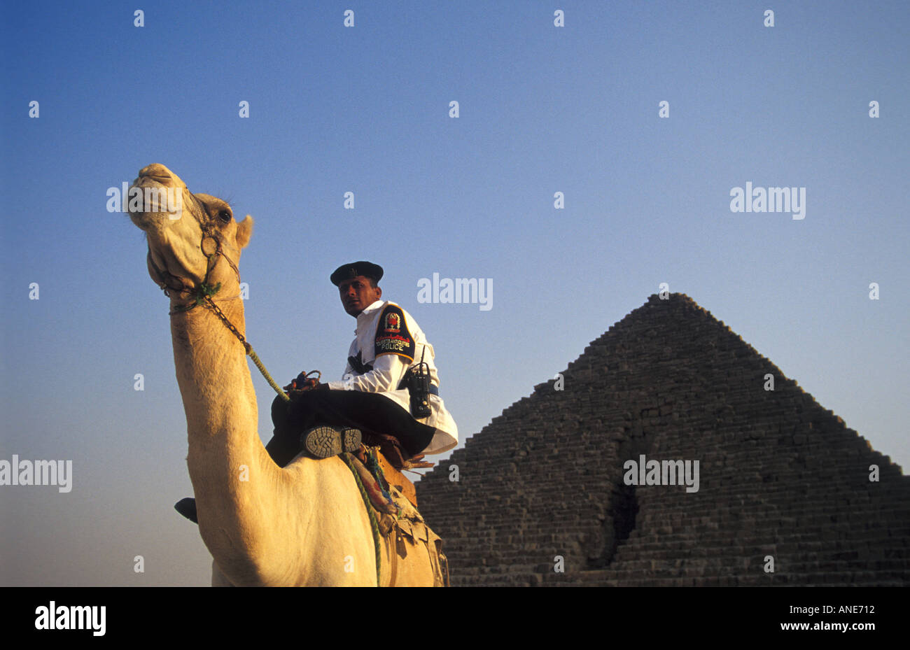 Police touristique sur Camel gardant les pyramides, Egypte Banque D'Images