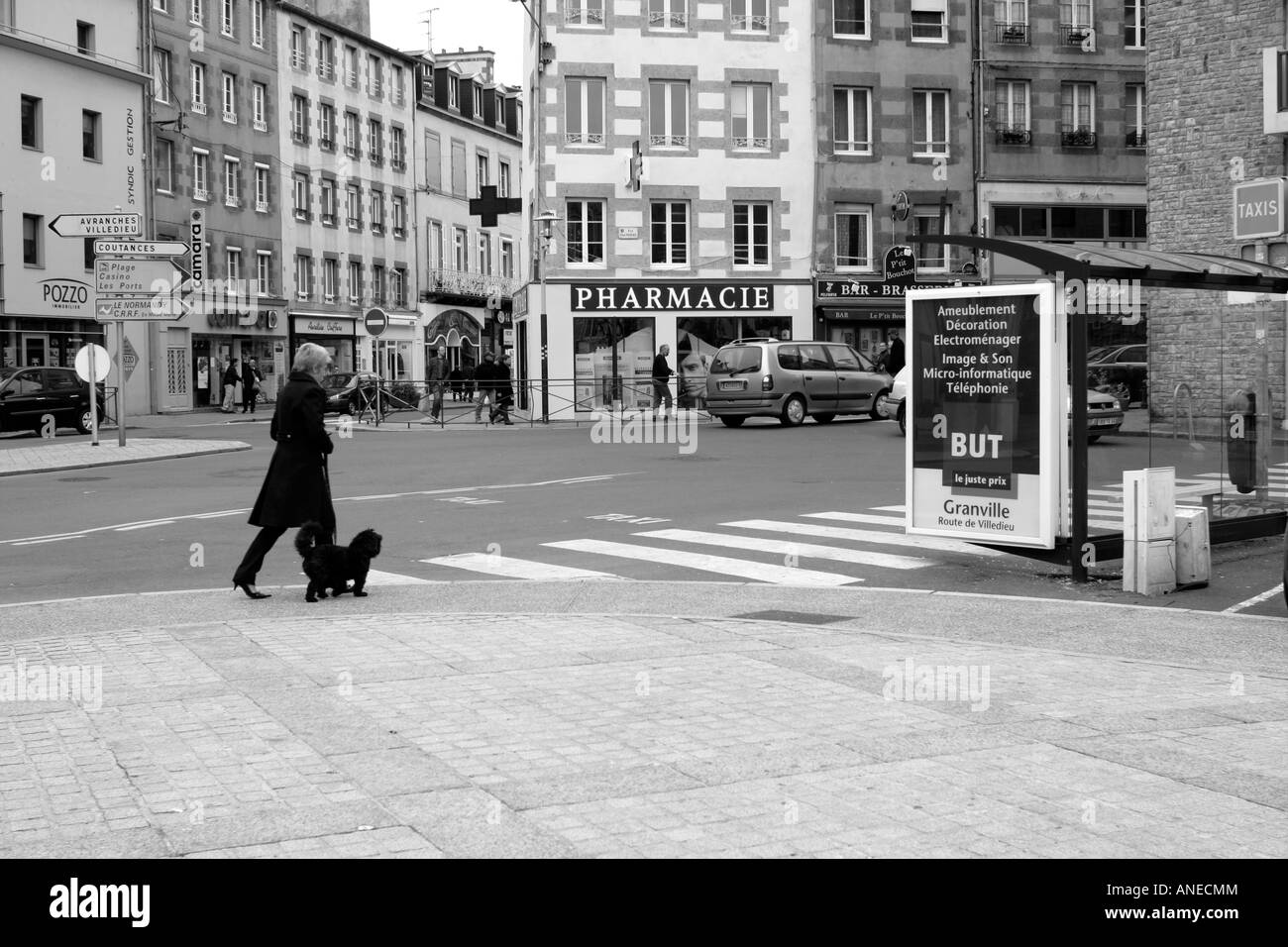 Femme à l'approche d'un passage pour piétons avec son chien noir à Granville Normandie France Banque D'Images