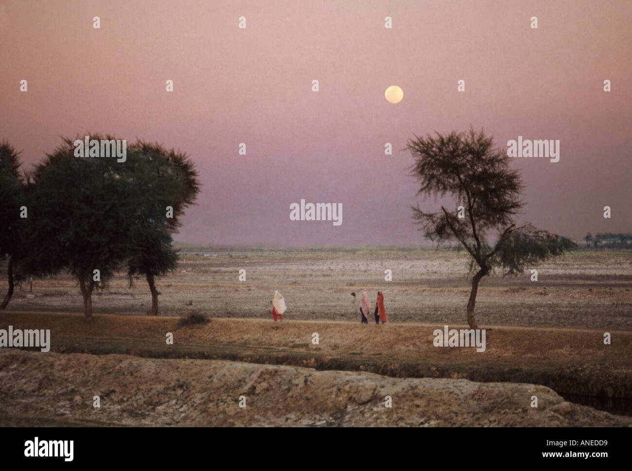 Sind au Pakistan Banque D'Images
