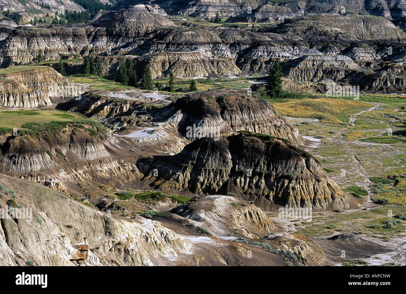 Le parc provincial Dinosaur, Site du patrimoine mondial de l'UNESCO, de l'Alberta, Canada Banque D'Images