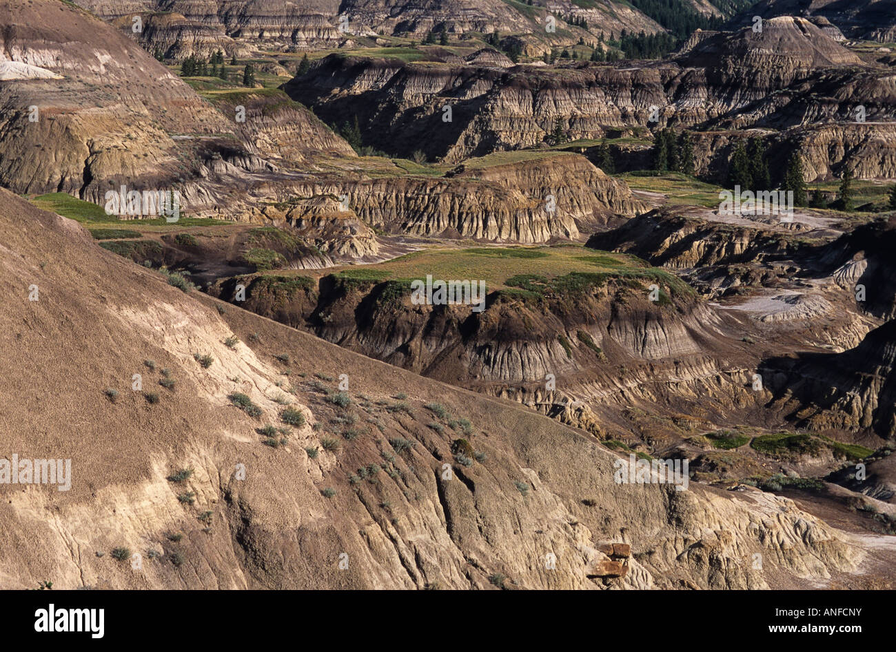 Le parc provincial Dinosaur, Site du patrimoine mondial de l'UNESCO, de l'Alberta, Canada Banque D'Images