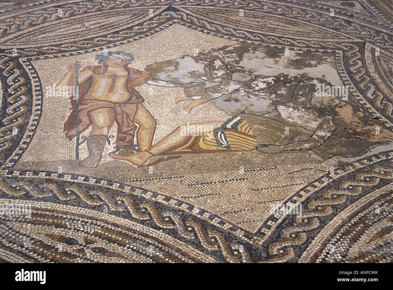 Détail de mosaïques dans les ruines romaines à Volubilis Maroc Afrique du Nord Banque D'Images