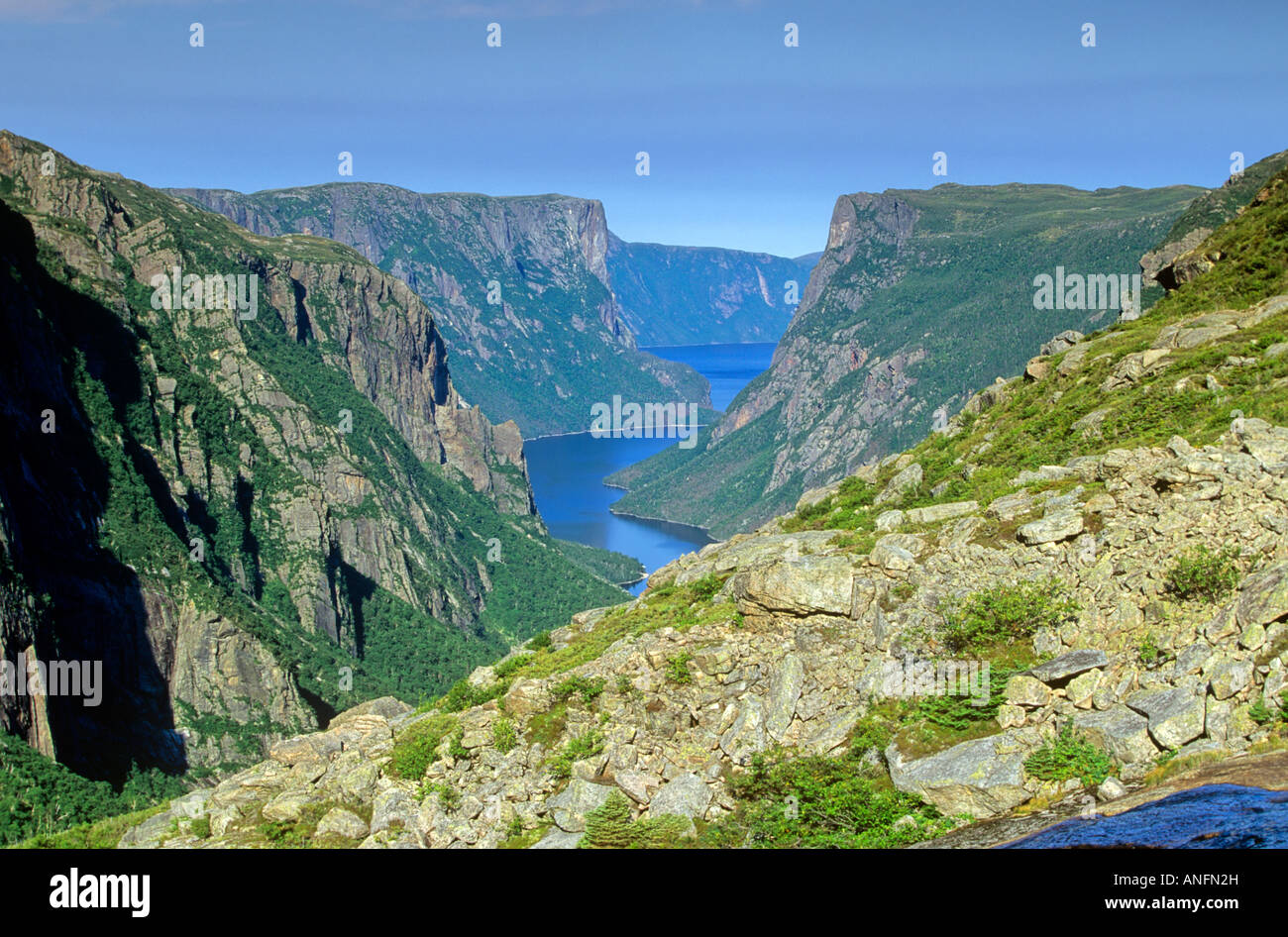 Retour de l'étang Western Brook, le parc national du Gros-Morne, à Terre-Neuve, Canada. Banque D'Images