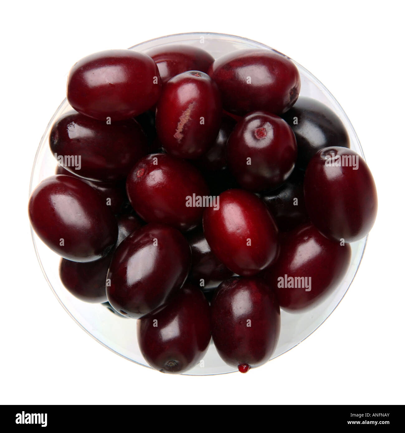 Cornaline berry libre isolé sur fond blanc Banque D'Images