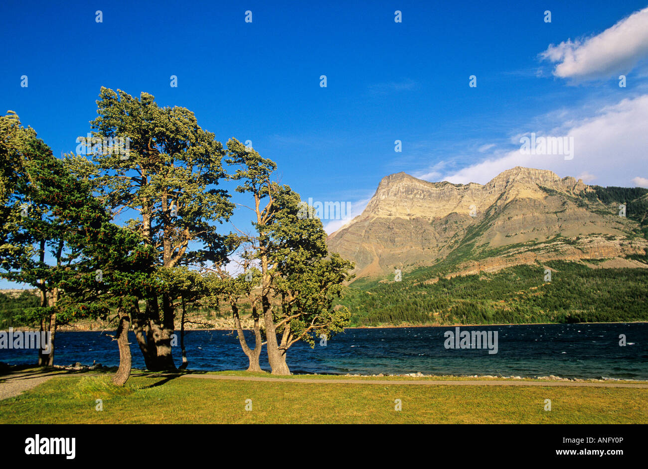 Le lac Waterton, International de la paix Waterton-Glacier, Alberta, Canada. Banque D'Images