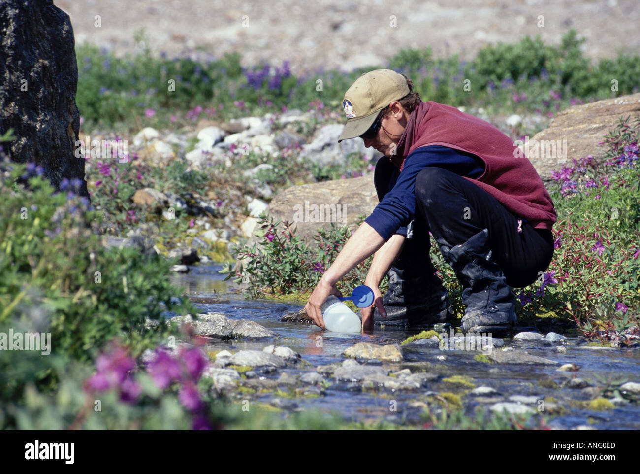 Il incombe de remplir bouteille randonneur w eau dans Creek SC Alaska Banque D'Images