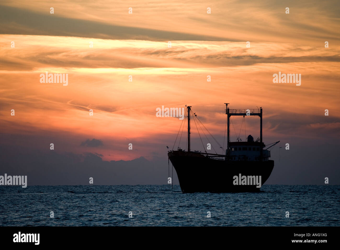 Navire naufragé, bâché et silhouetté ; navire cargo M/V Demetrios II, battant pavillon hondurien, au coucher du soleil qui s'est échoué à Pathos Chypre en 1998 Banque D'Images