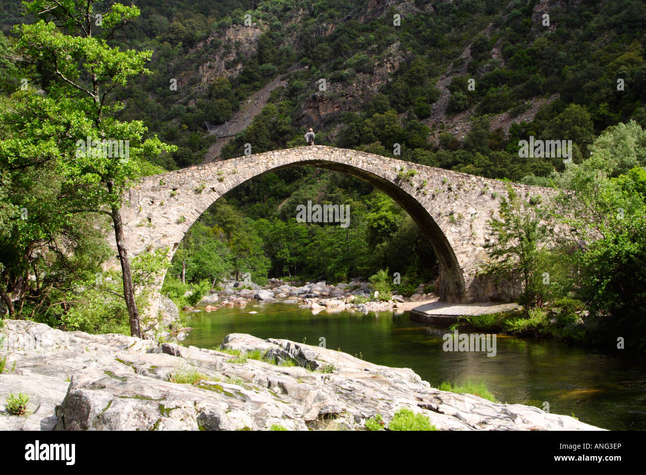 Ponte Vecchiu pont sur la rivière de Spelunca, Corse Banque D'Images