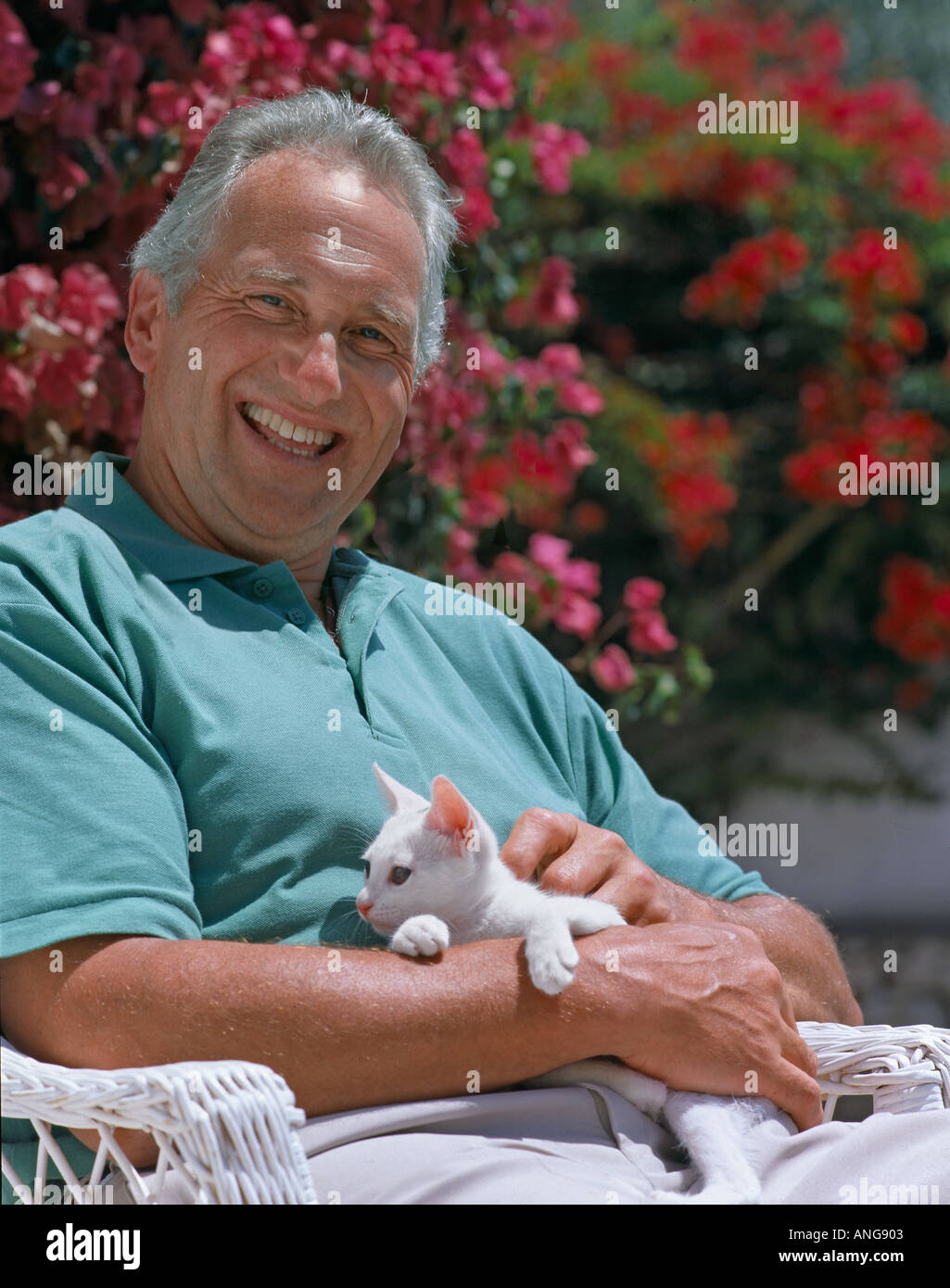 L'âge de la retraite au soleil avec l'homme lui-même chaton dans le jardin Banque D'Images