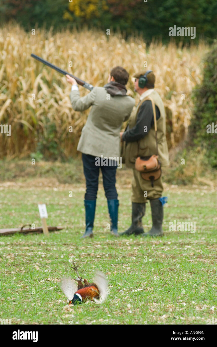 Le faisan mourant tire des ailes battant, le tireur novice prend les instructions d'un professionnel. Jeu Bird Shoot. Corhampton Hampshire Angleterre des années 2000 Royaume-Uni. Banque D'Images