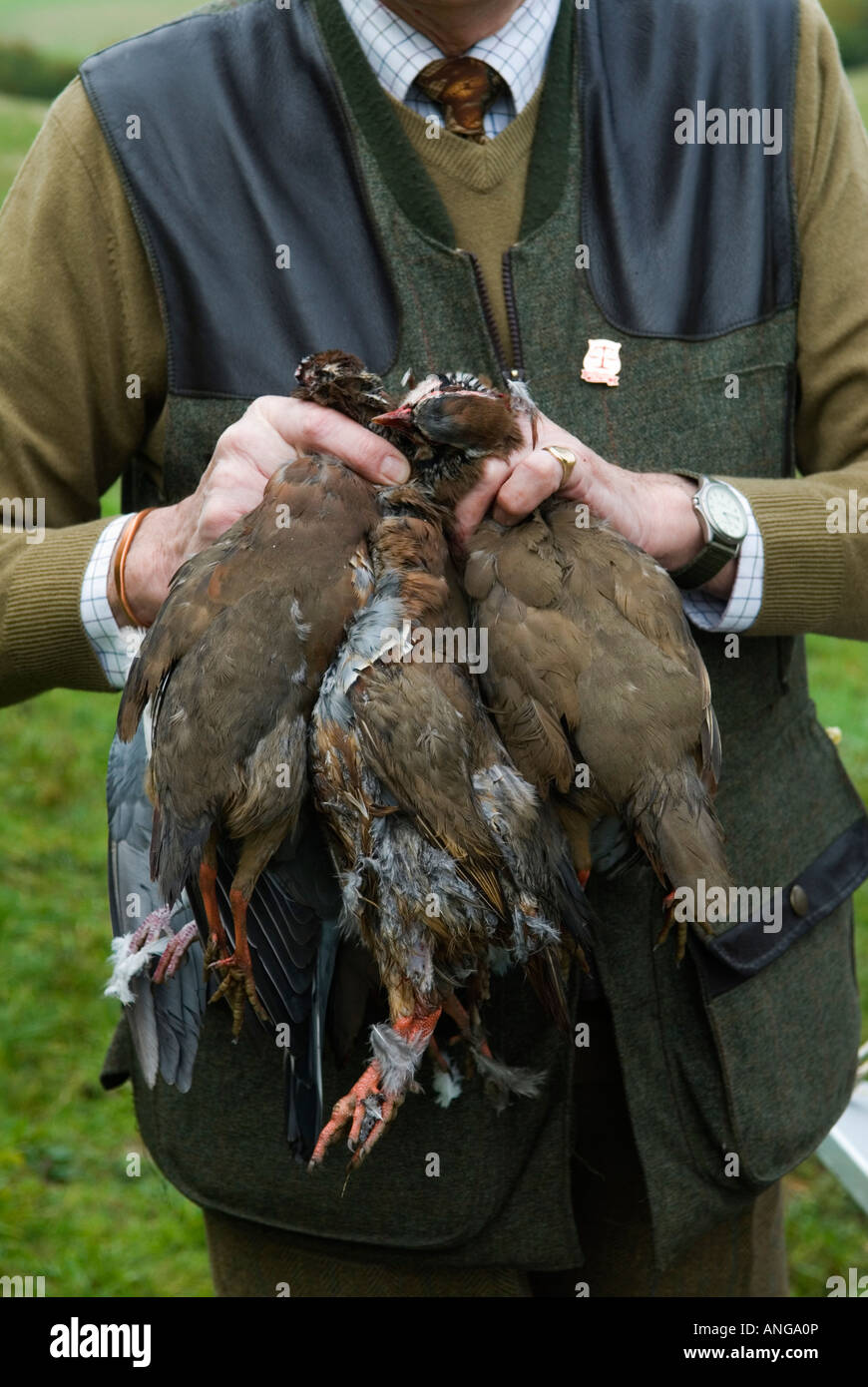 Des faisans abattus lors d'une fusillade gibier, détenus par un ouvrier immobilier. Tir de match à St clair Farm Estate Hampshire Angleterre des années 2000 Royaume-Uni Banque D'Images